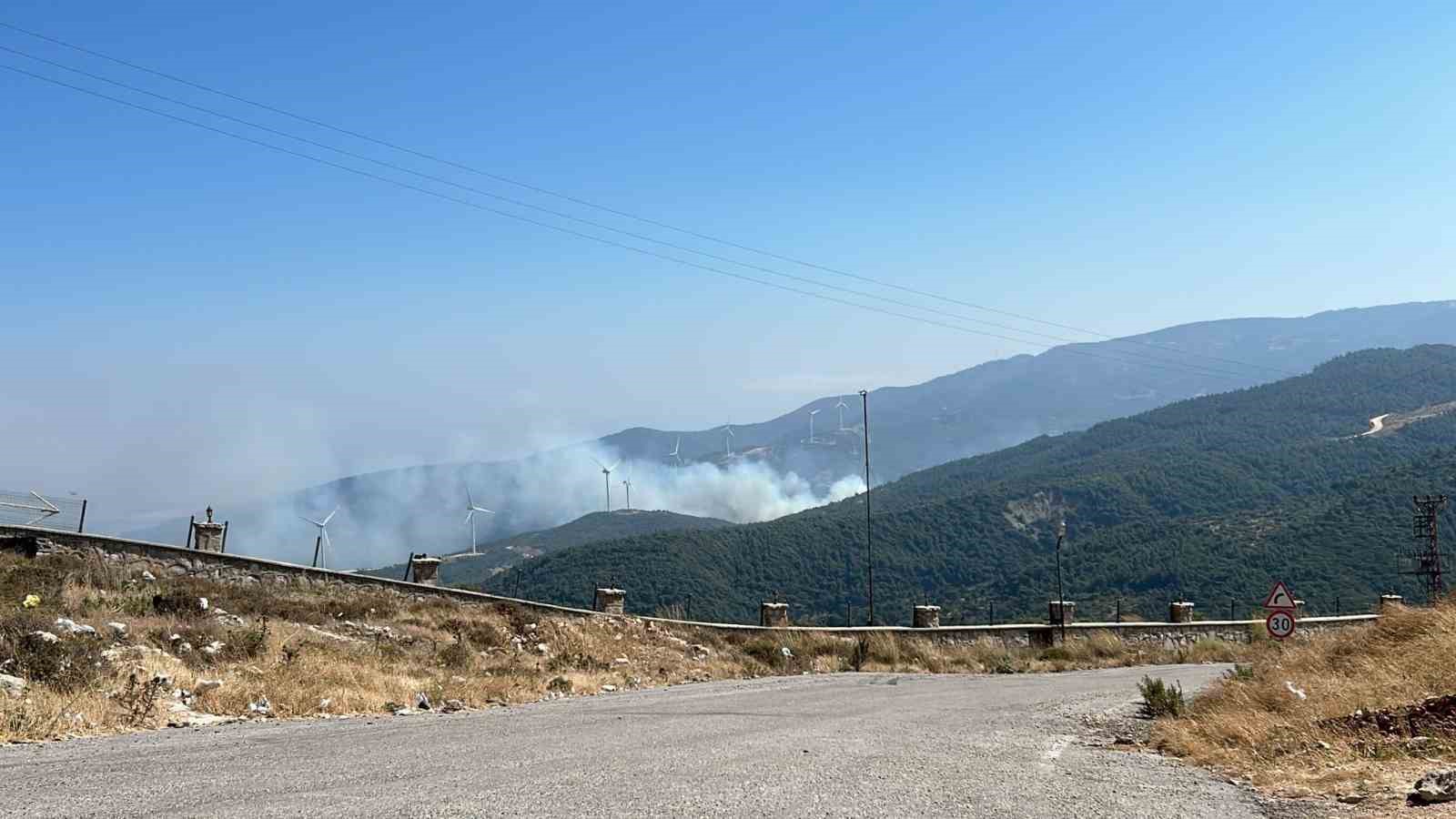 Hatay’da orman yangını
