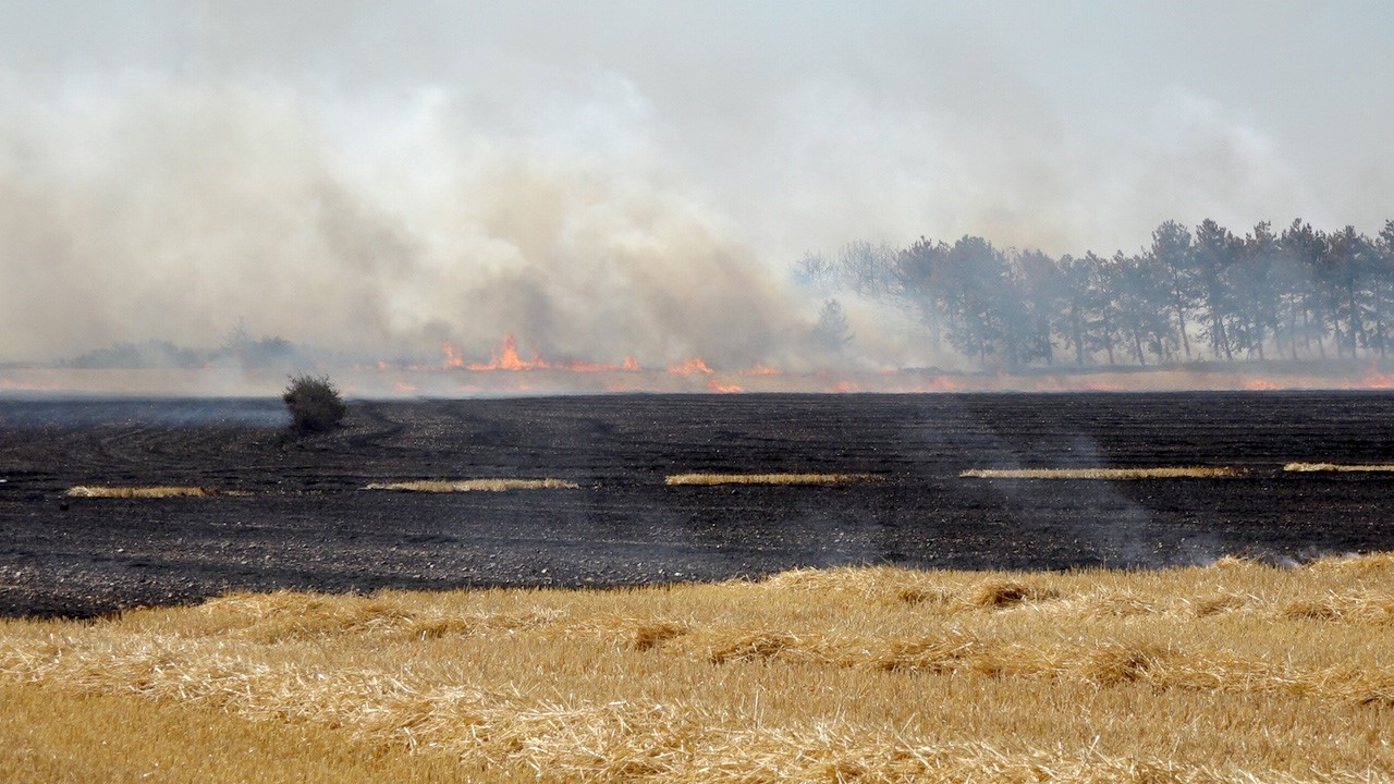 Saman y&uuml;kl&uuml; kamyonet alev topuna d&ouml;nd&uuml;: Yangın ağa&ccedil;lık alanlara sı&ccedil;radı
