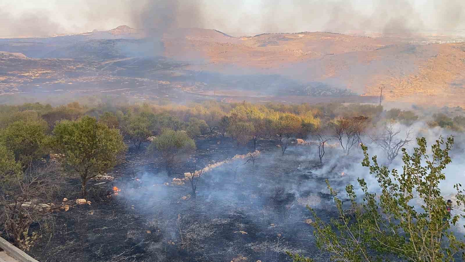 Adıyaman’da örtü yangını ormanlık alana sıçradı
