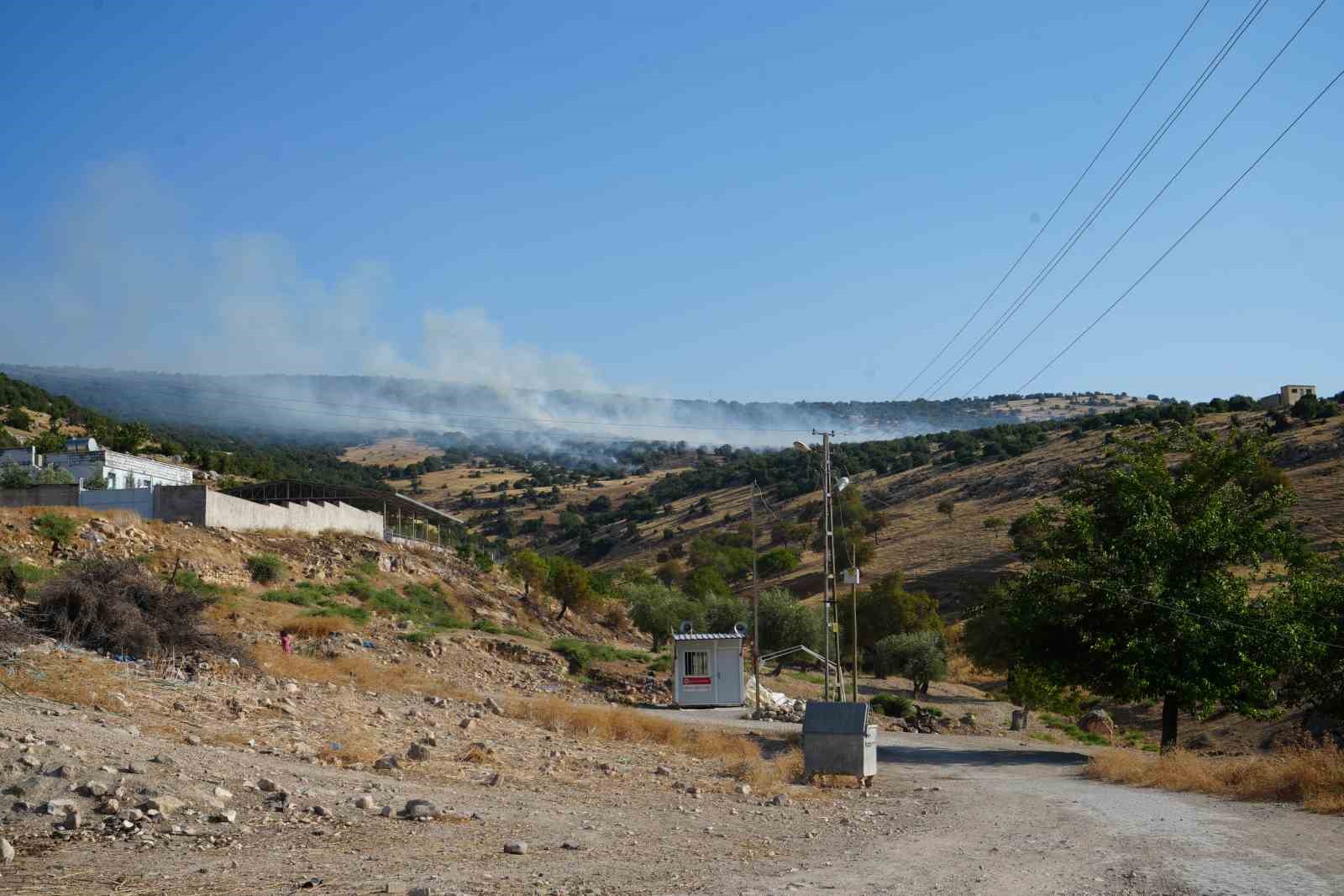 Kilis’te orman yangını: 50 dönüm arazi kül oldu