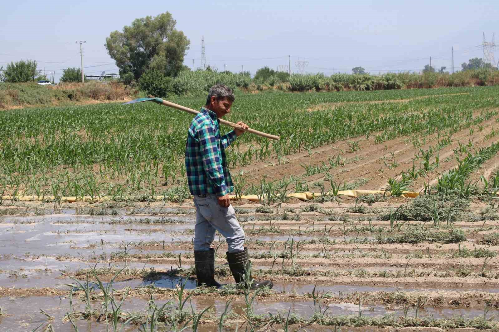 Gençlerin masa başı iş sevdası Türk tarımına alarm verdiriyor
