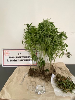 Zonguldak&rsquo;ta uyuşturucu operasyonunda 6 ş&uuml;pheli yakalandı
