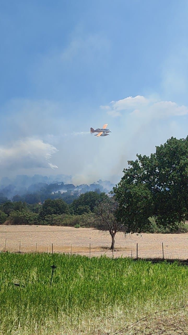 Ayvacık&rsquo;ta zeytinlik alanda yangın
