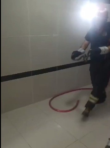 Kahramanmaraş&rsquo;ta yılan paniği
