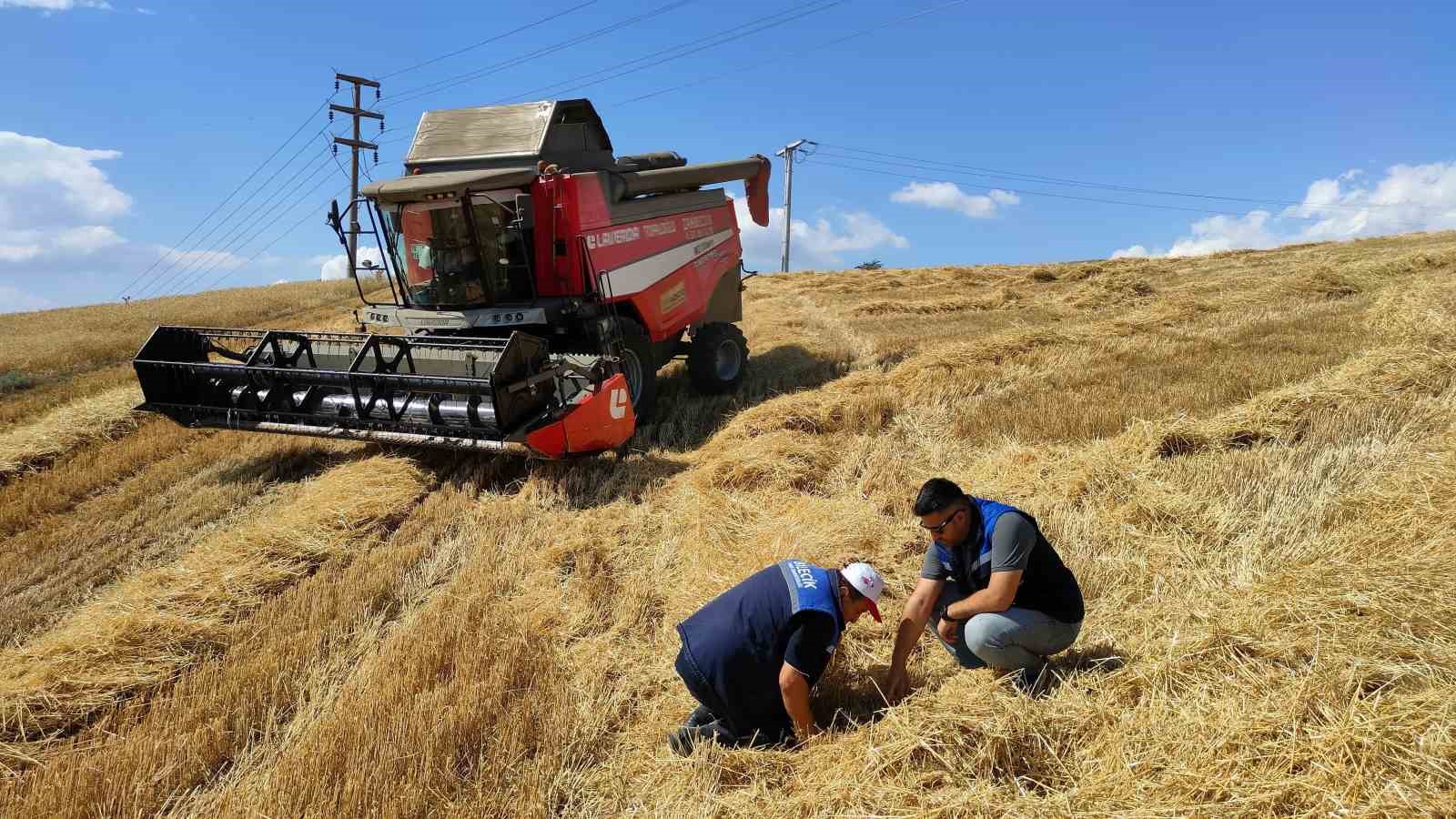 Boz&uuml;y&uuml;k&rsquo;te bi&ccedil;erd&ouml;ver denetimi ve hasat yapılan hububat tarlalarında kontroller
