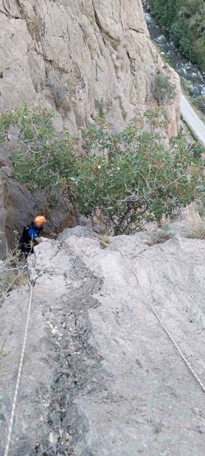Kayalıklarda mahsur kalan 4 ke&ccedil;i kurtarıldı

