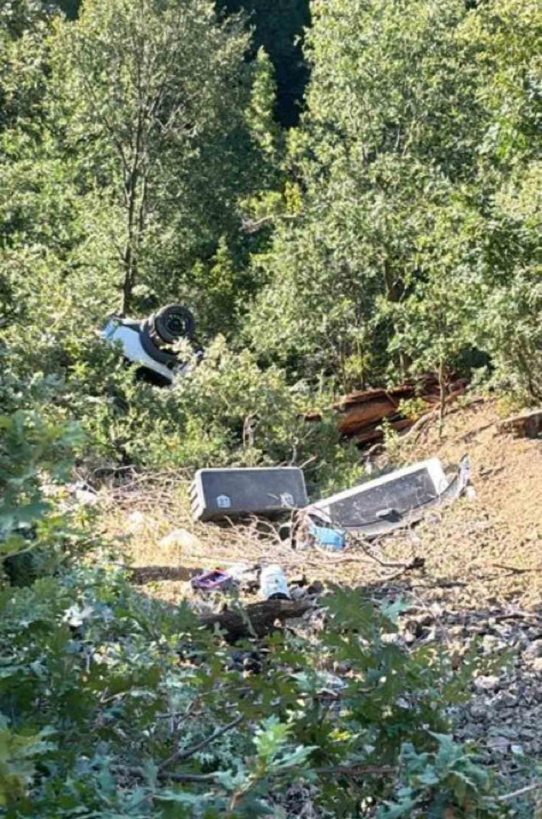 Yangına giden Bergama Orman İşletme Müdürü kazada şehit oldu
