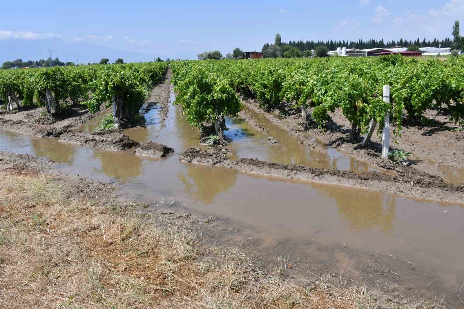 Vahşi sulama hem &uuml;r&uuml;ne hem su kaynaklarına zarar veriyor
