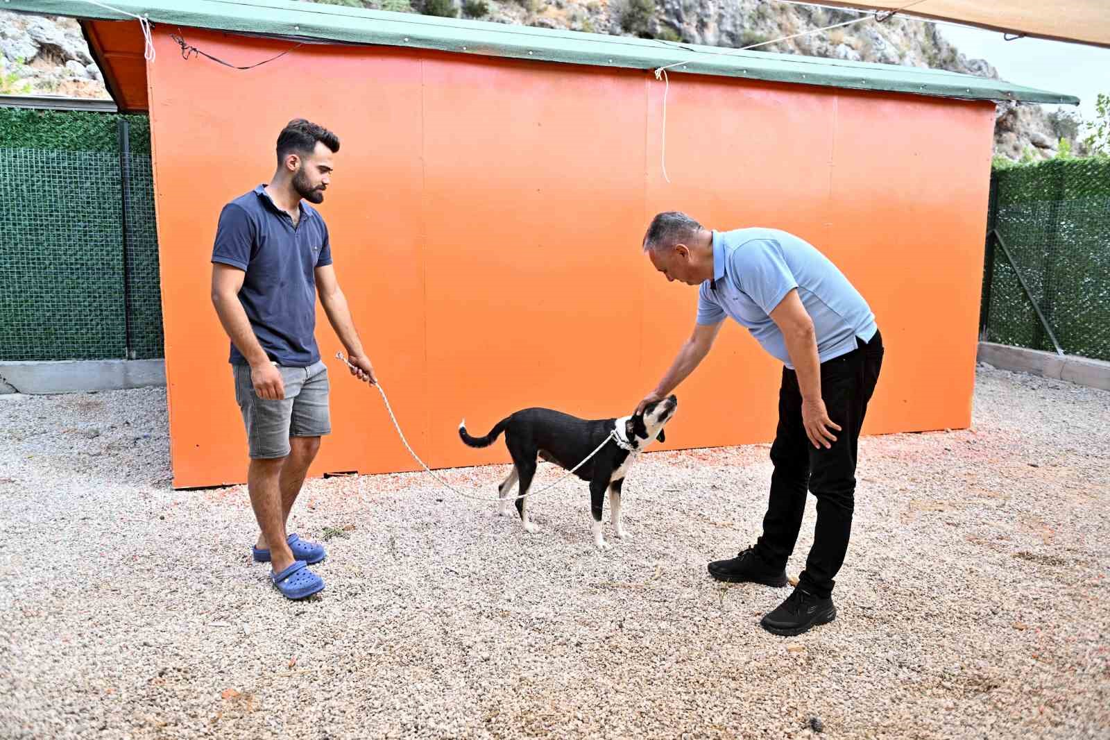 Muratpaşa Belediye Başkanı Ümit Uysal: "Çözümü ötanazi değildir"
