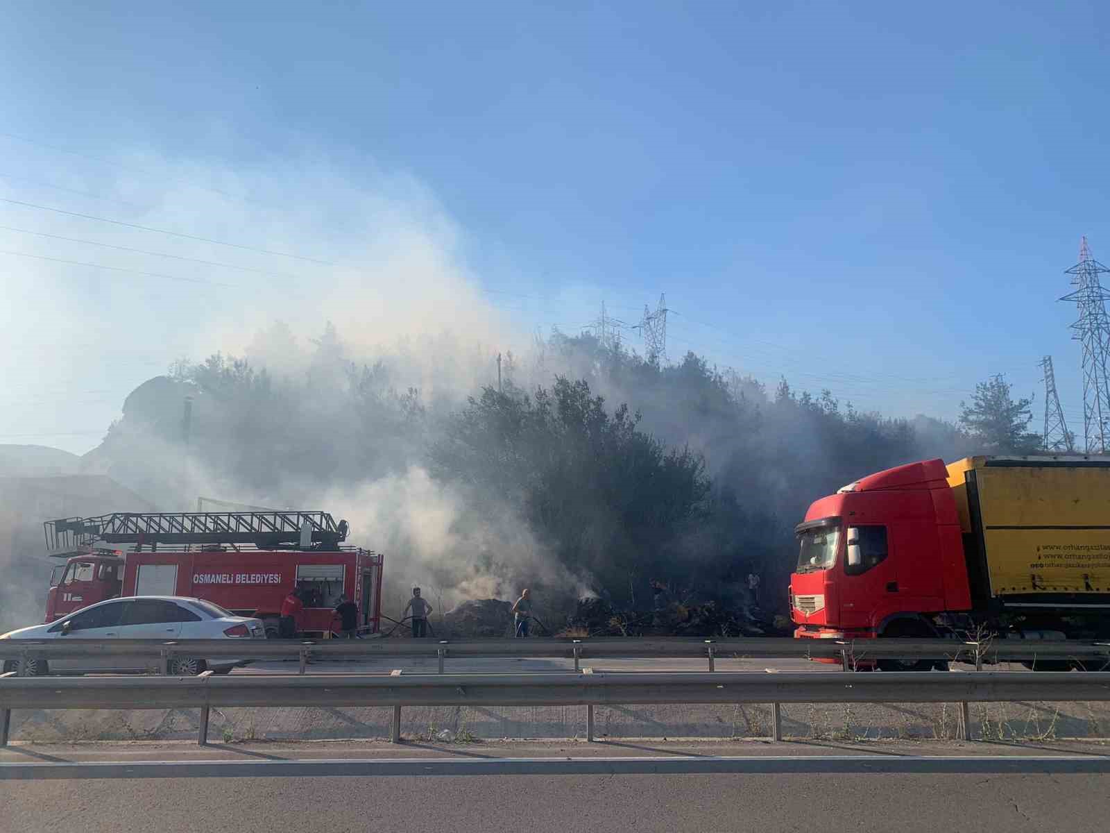 Bilecik&rsquo;teki orman yangını s&ouml;nd&uuml;r&uuml;ld&uuml;

