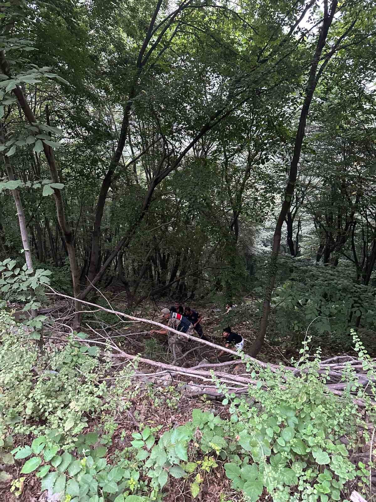 Yayla yolunda uçurumdan uçan araçtaki 2 kişi yaralandı
