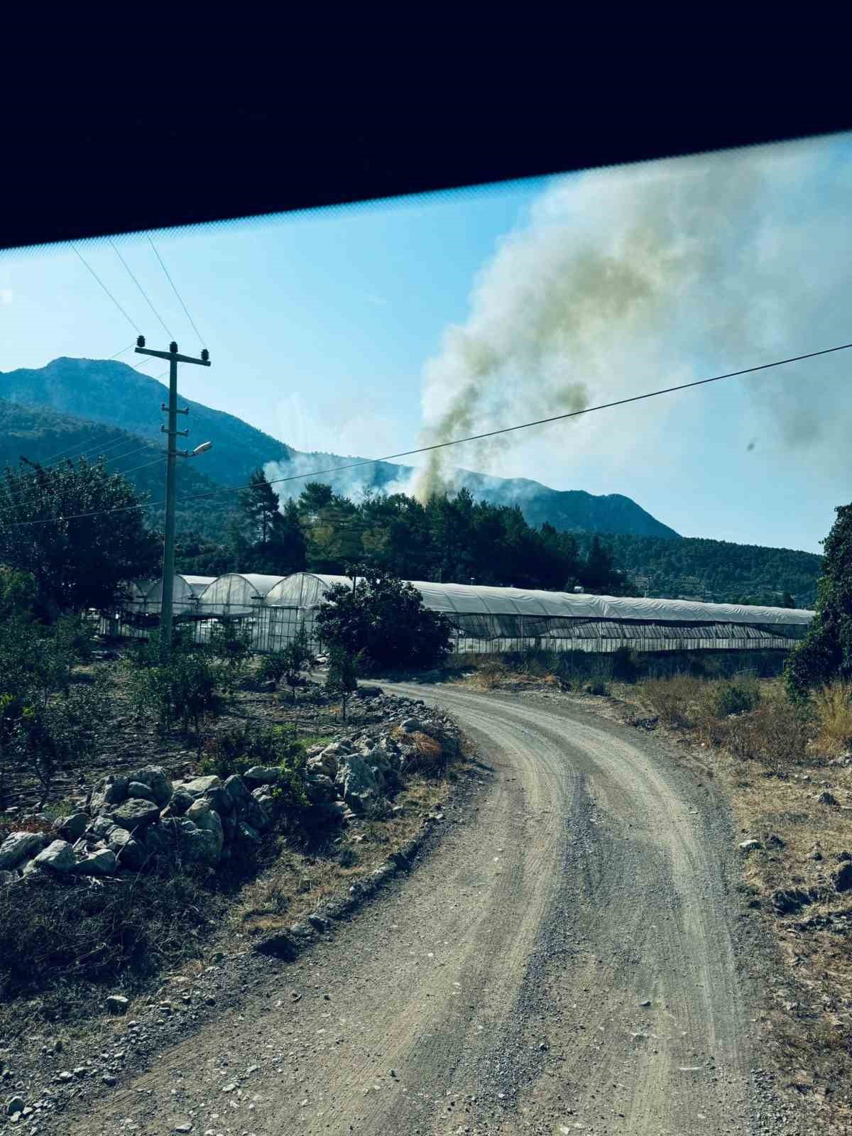 Adrasan’da çıkan yangın, büyümeden söndürüldü
