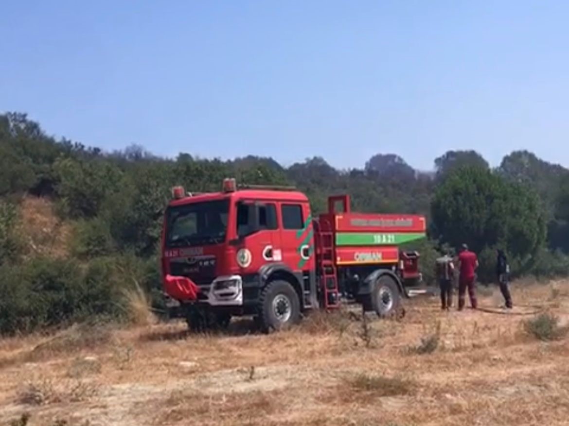 Susurluk&rsquo;ta ara&ccedil; kazası orman yangınına d&ouml;n&uuml;şt&uuml;
