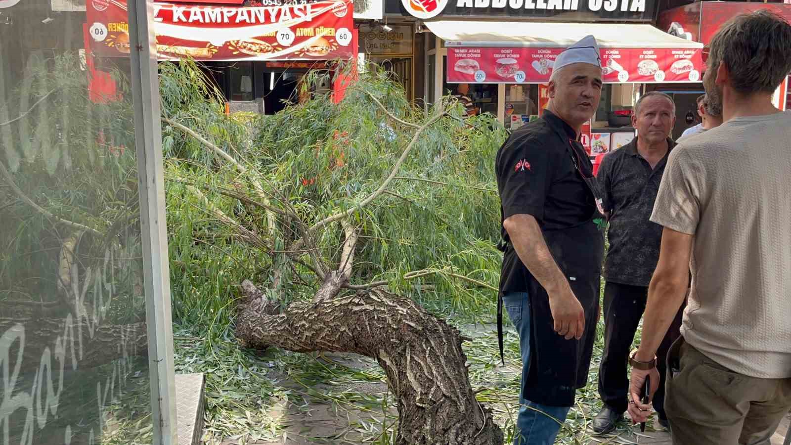 Bolu’da yaya yoluna ağaç düştü: 1 yaralı
