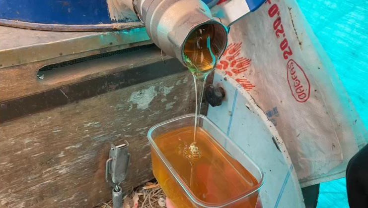 S&uuml;phan Dağı eteklerinde bal sağımı
