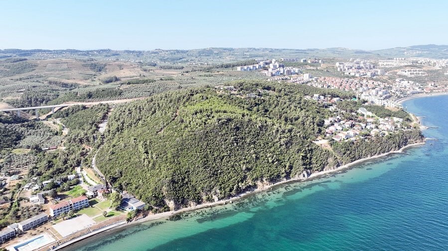 116 d&ouml;n&uuml;m deniz manzaralı ormana Mudanya Belediyesi talip oldu
