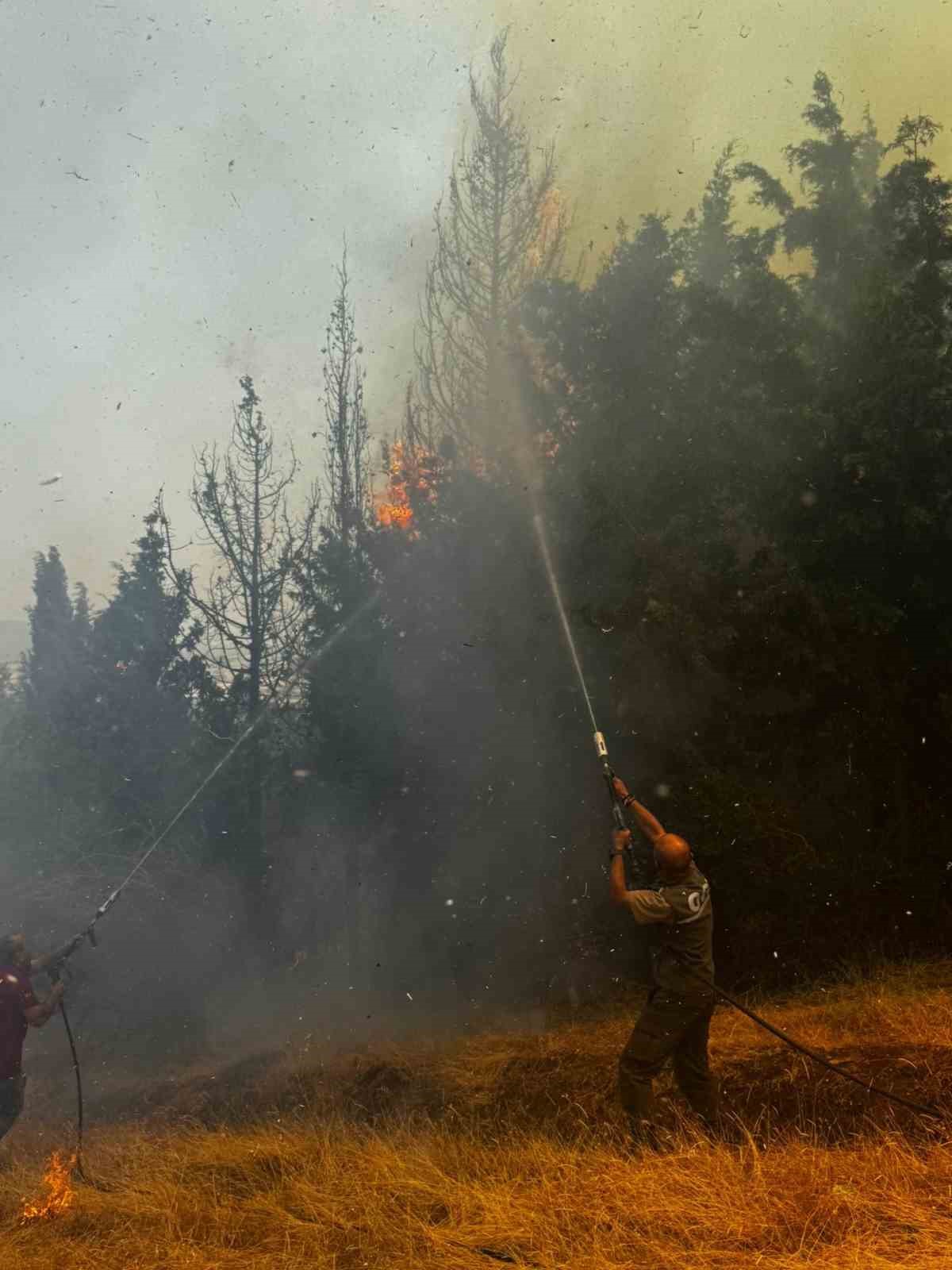 Bayrami&ccedil;&rsquo;teki orman yangını 24 saat sonra kontrol altına alındı
