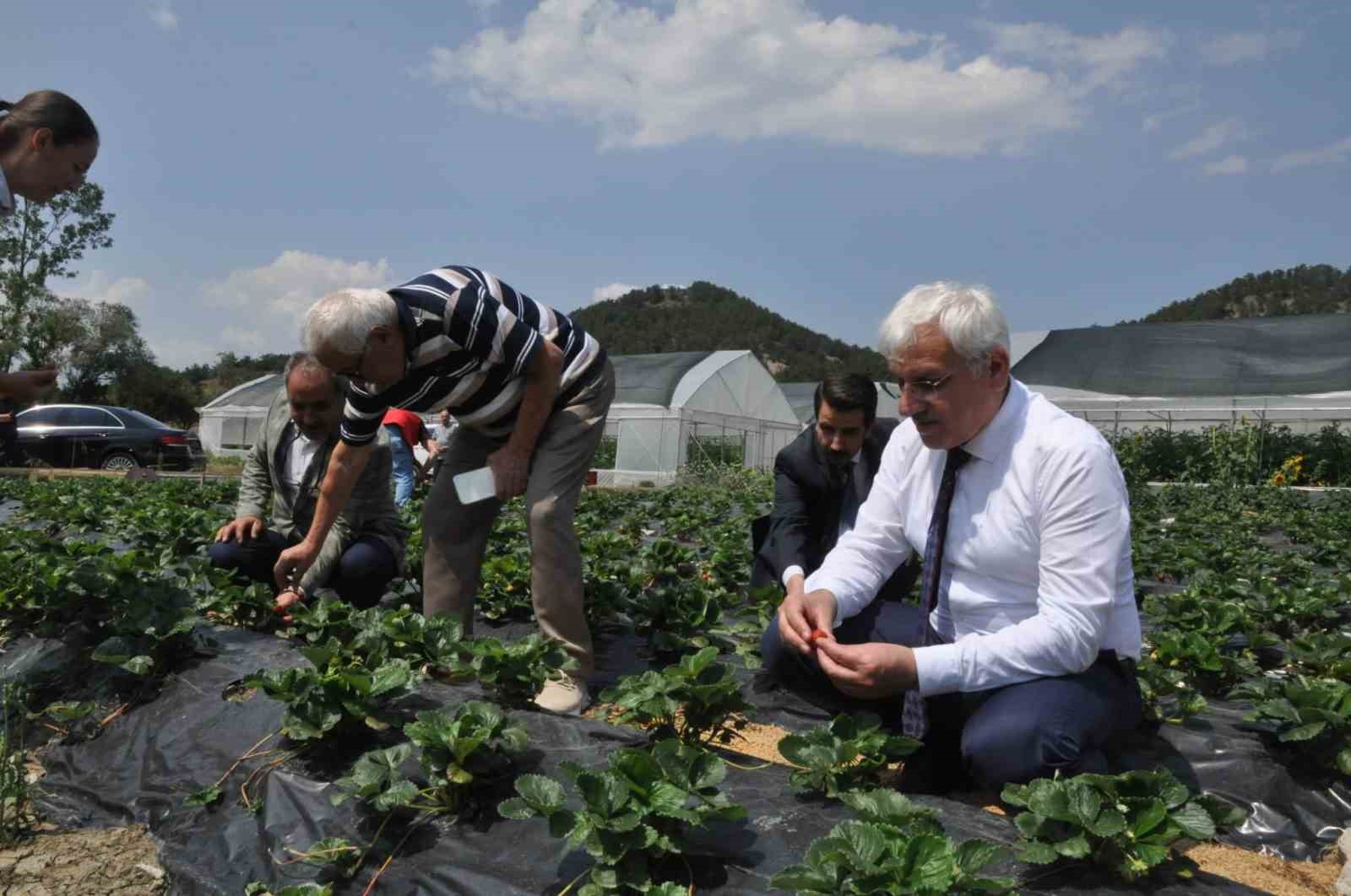 Mudurnu’da istihdam için ‘Hünerli Eller Projesi’
