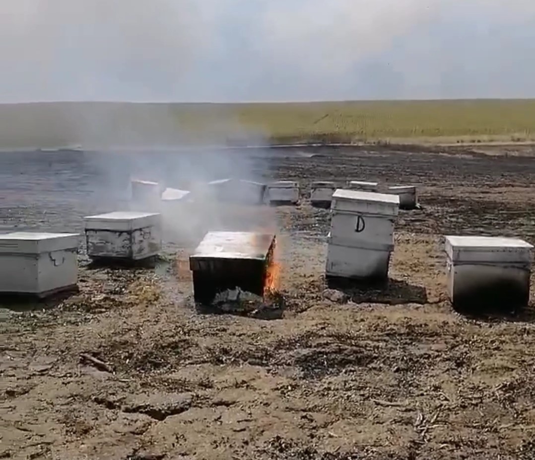 Babaeski’de anız yangını: Arılar telef oldu