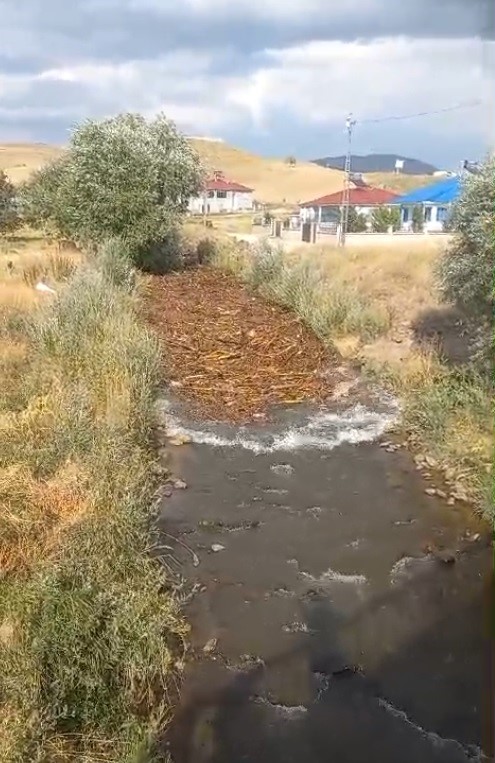 Varto’da dereler taştı, tarım arazileri sular altında kaldı