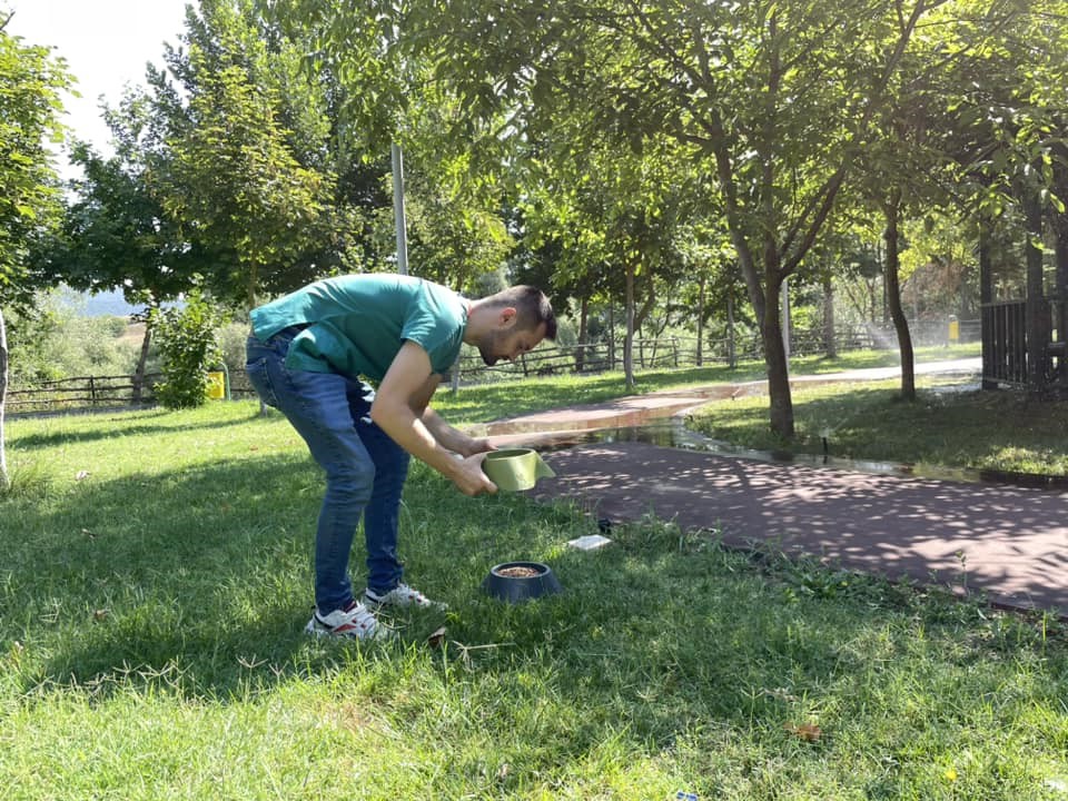 Belediye bu sıcaklarda can dostları için bir kap mama ve bir kap su koyuyor
