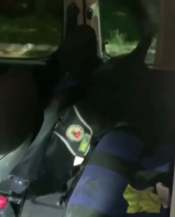 Kırklareli&rsquo;nde uyuşturucu operasyonu: 2 g&ouml;zaltı
