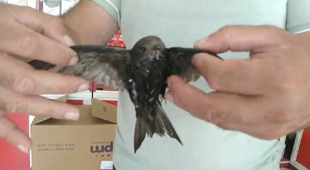 &Ouml;mr&uuml; havada ge&ccedil;iyor
