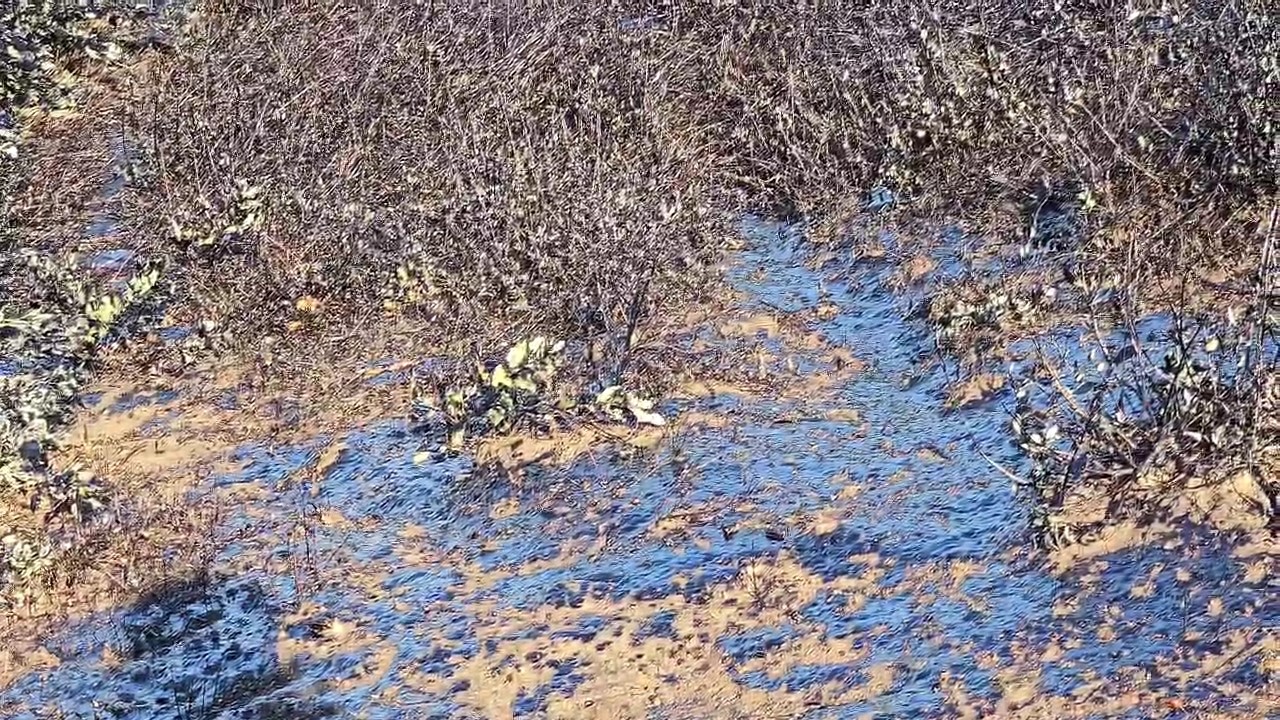 Adıyaman&rsquo;da petrol boruları patladı
