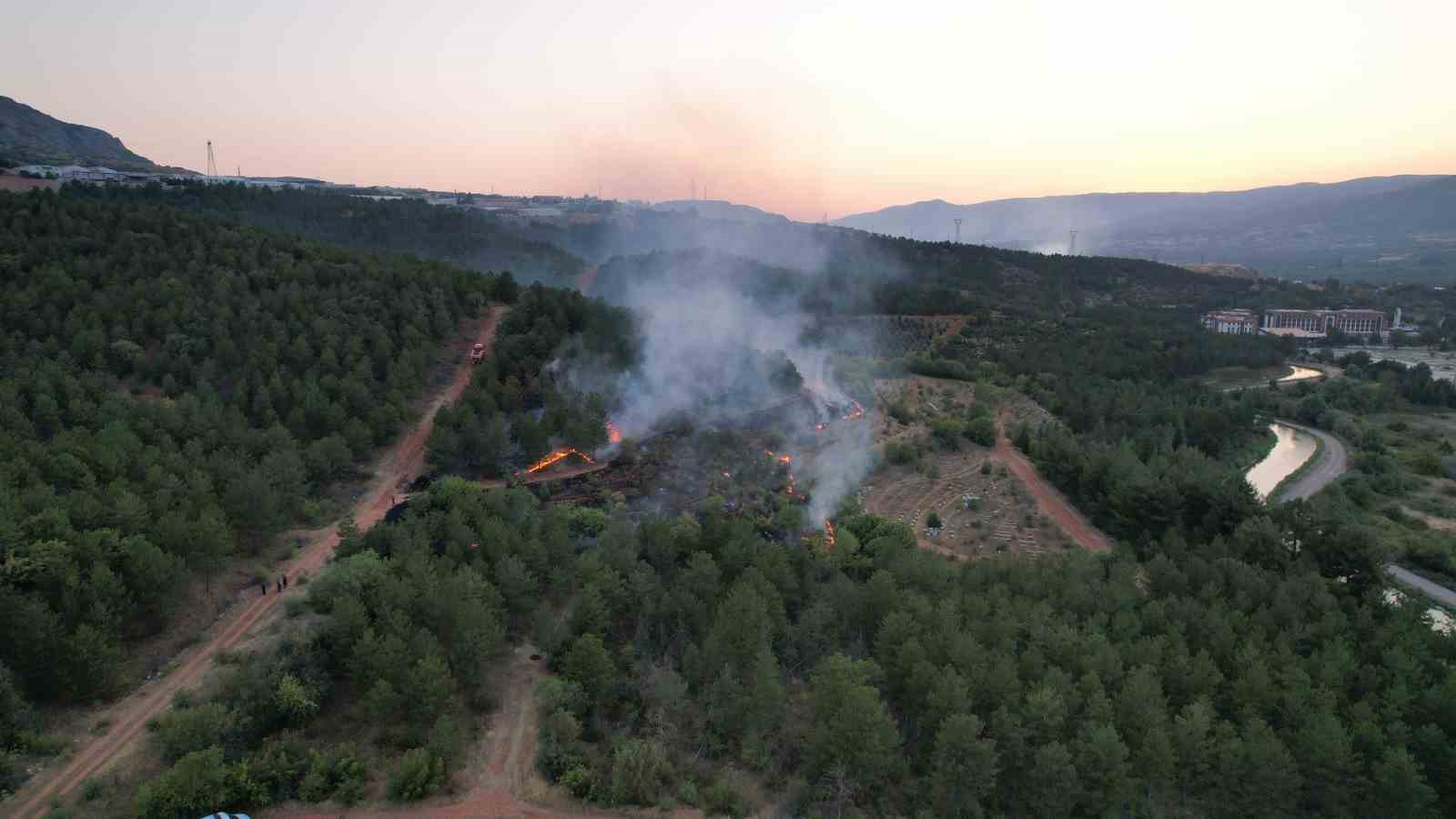 Tokat’ta korkutan orman yangını
