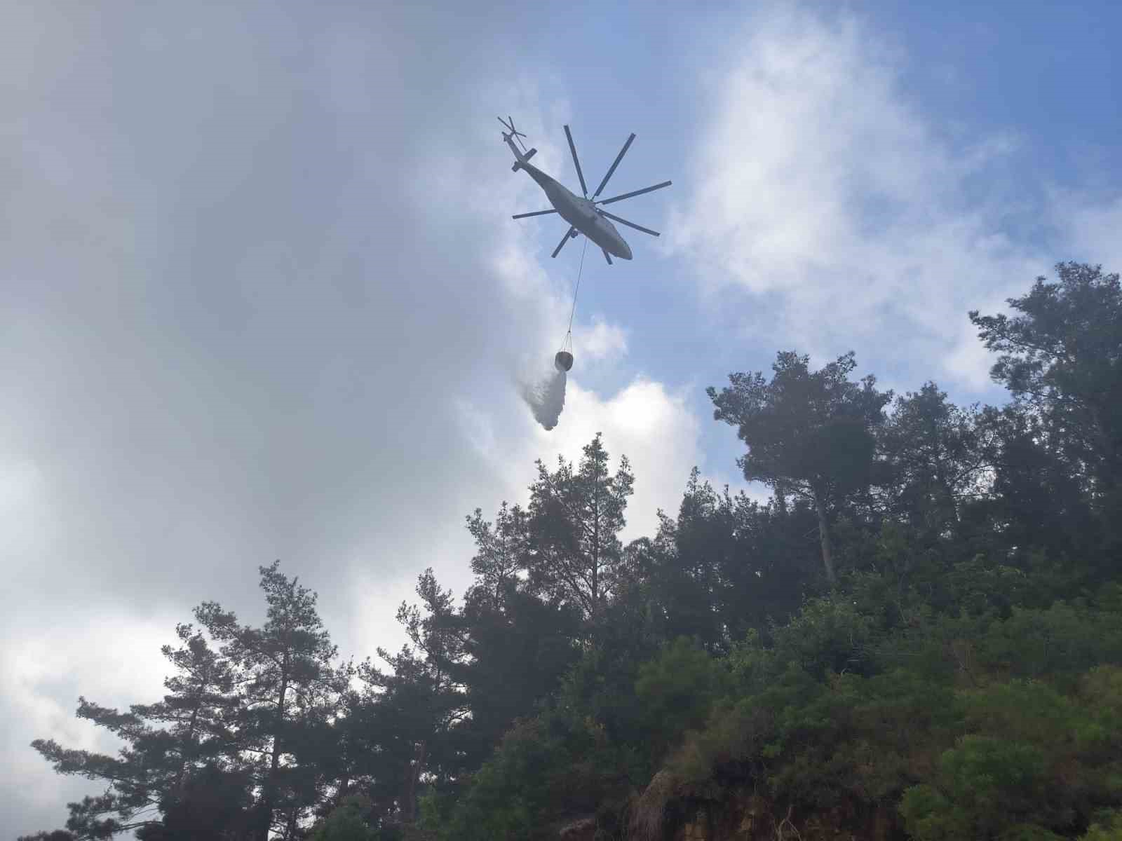 Hatay’da orman yangını
