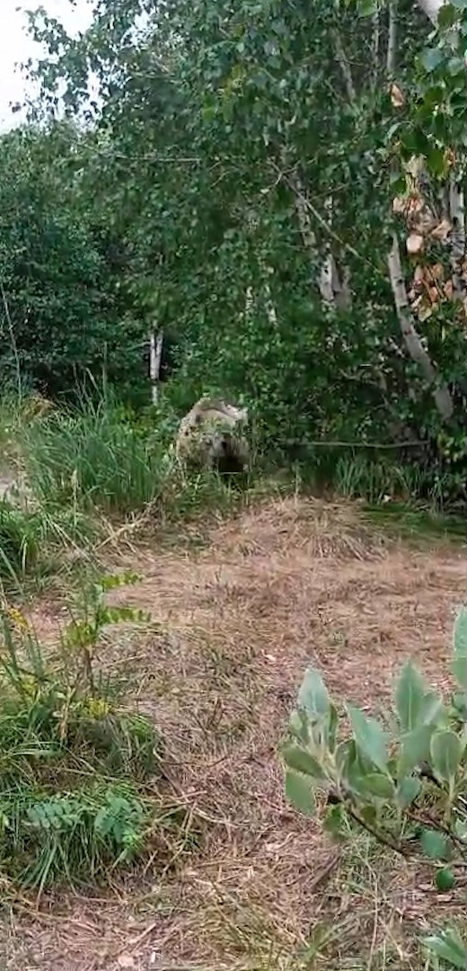 Nemrut&rsquo;ta korku dolu anlar
