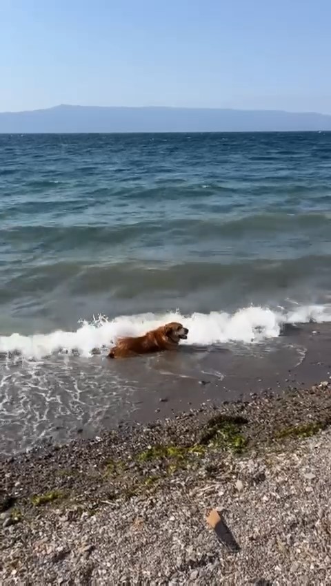 Sıcaktan bunalan işçiler, kepçeyi havuza çevirdi
