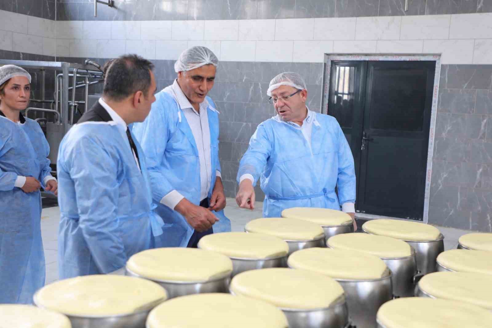Vali Polat, Organize Sanayi B&ouml;lgesi incelemelerde bulundu
