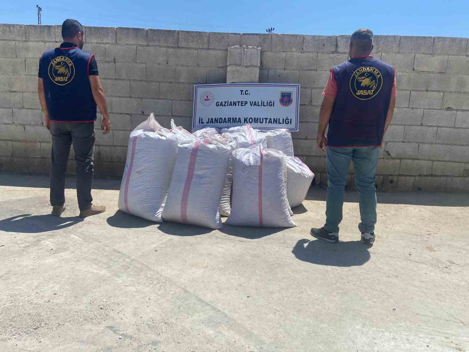 Babasının tarlasından 1,5 ton Antep fıstığı çalan şüpheli yakalandı
