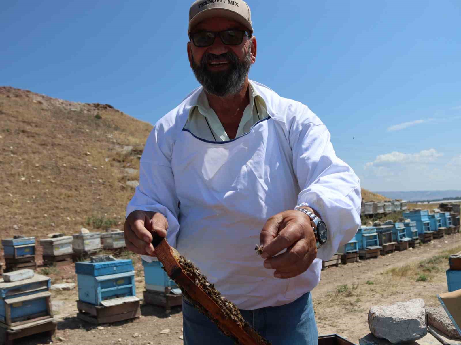 Y&uuml;kselen hava sıcaklıkları bal &uuml;retiminde verimi d&uuml;ş&uuml;rd&uuml;
