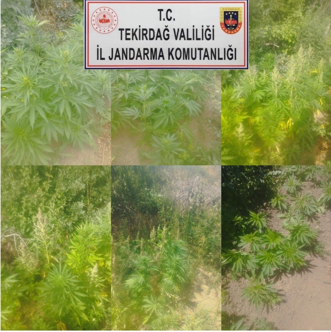Tekirdağ&rsquo;da uyuşturucu operasyonları: 4 g&ouml;zaltı
