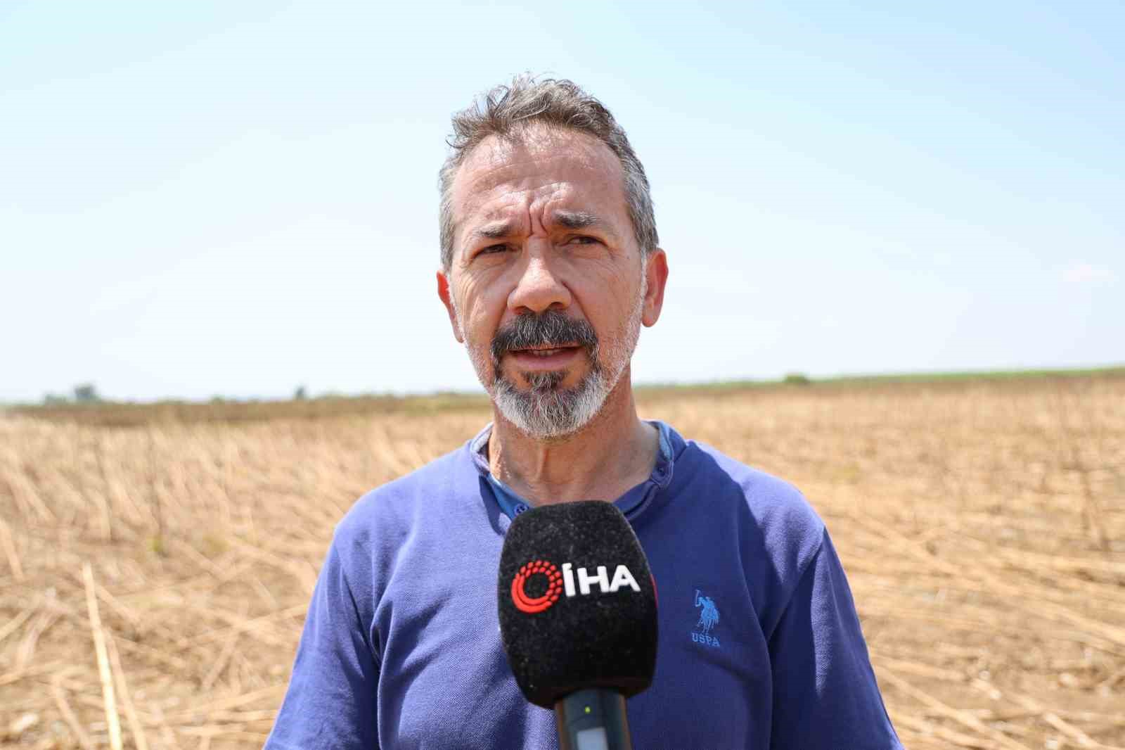 Kuraklık ay&ccedil;i&ccedil;eği rekoltesini y&uuml;zde 50&rsquo;den fazla d&uuml;ş&uuml;rd&uuml;
