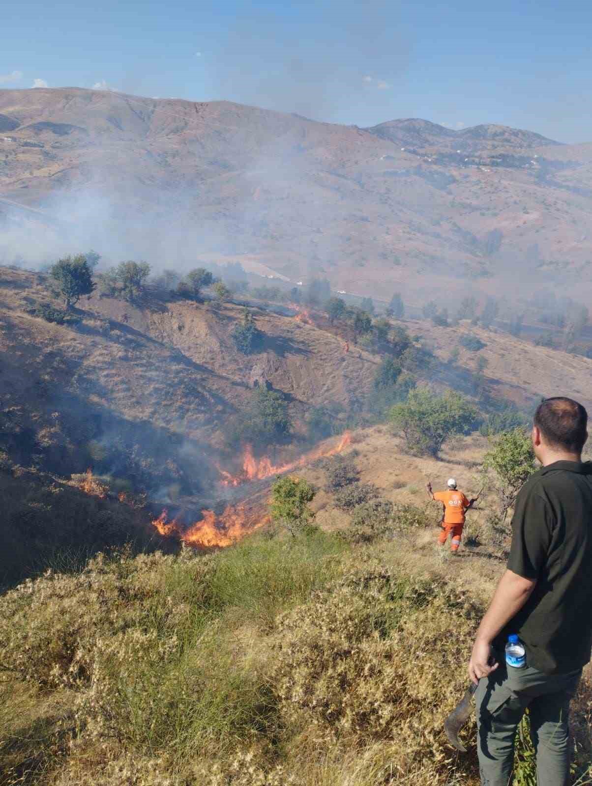 Bingöl’de çıkan orman yangını söndürüldü
