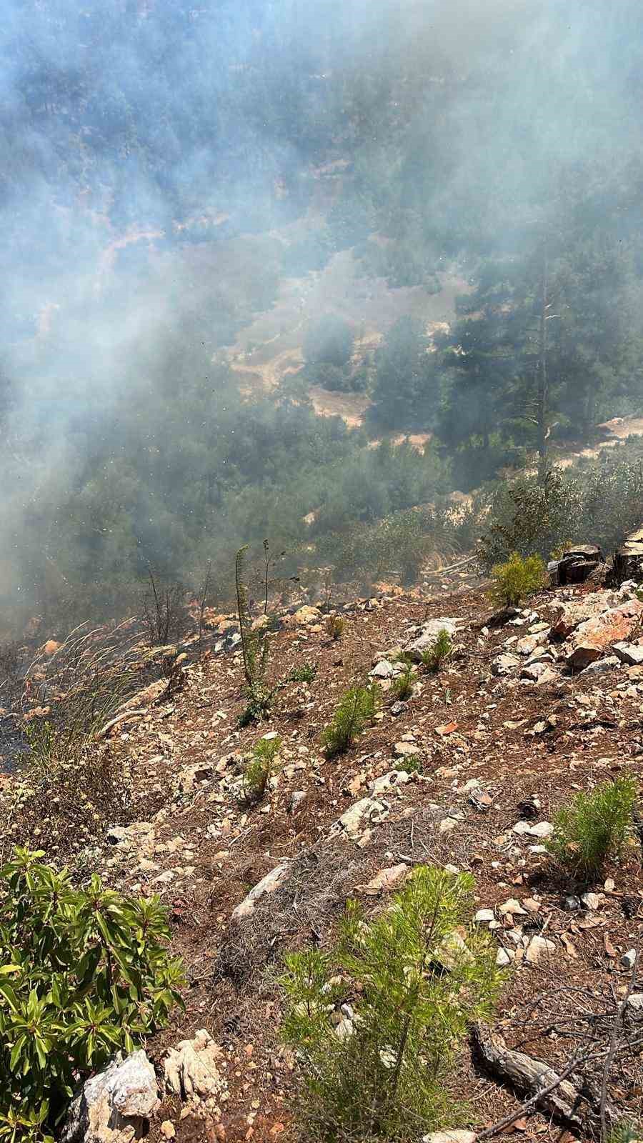Adana&rsquo;da orman yangını
