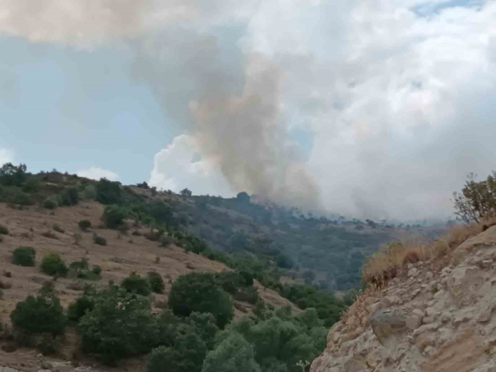 Afyonkarahisar’da ot ve çalıların bulunduğu dağlık alanda yangın çıktı