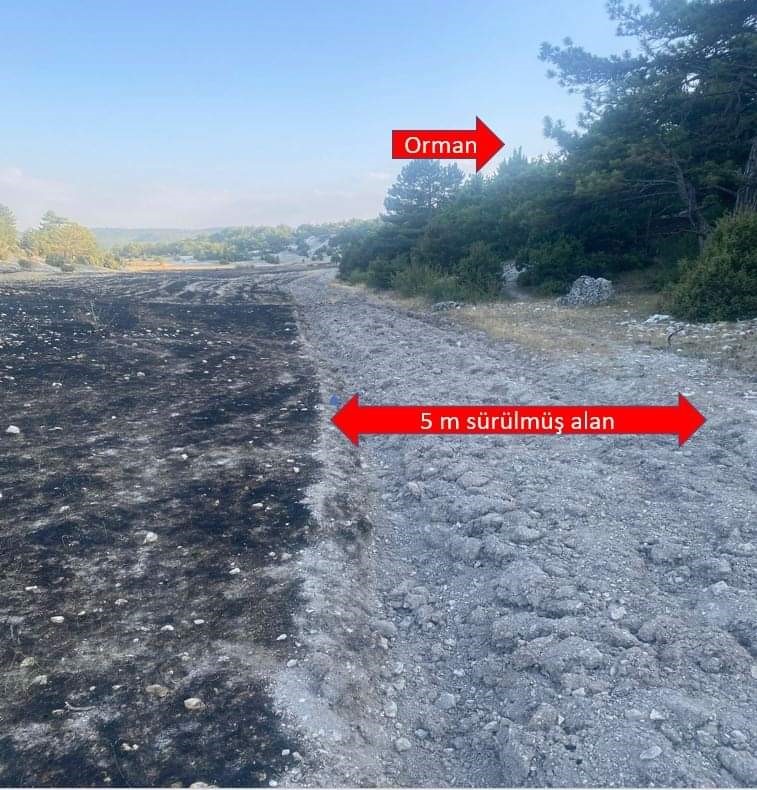Anız yangınında tarla sahibinin g&ouml;sterdiği hassasiyet orman yangınını &ouml;nledi
