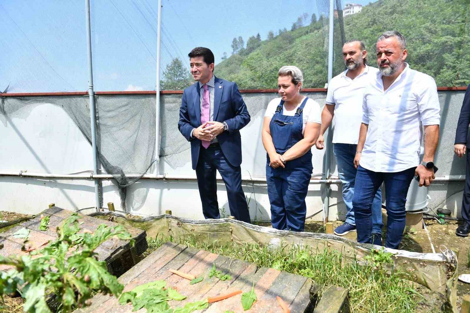 Bulgaristan’dan getirip Trabzon’da üretmeye başladılar
