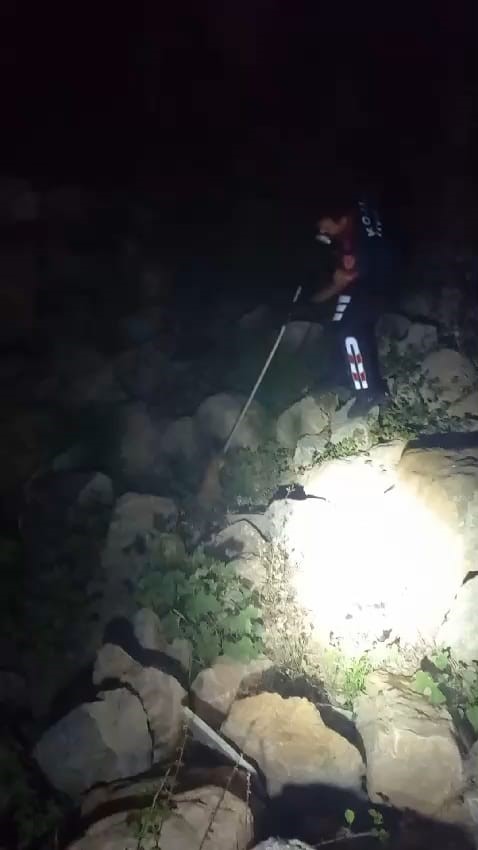 Yaralı tilki itfaiye ekiplerince yakalanarak tedavi altına alındı
