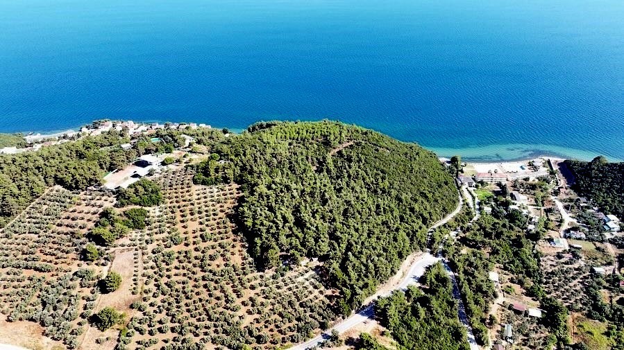 116 d&ouml;n&uuml;m deniz manzaralı orman ihalesine en y&uuml;ksek fiyat &ouml;zel sekt&ouml;rden
