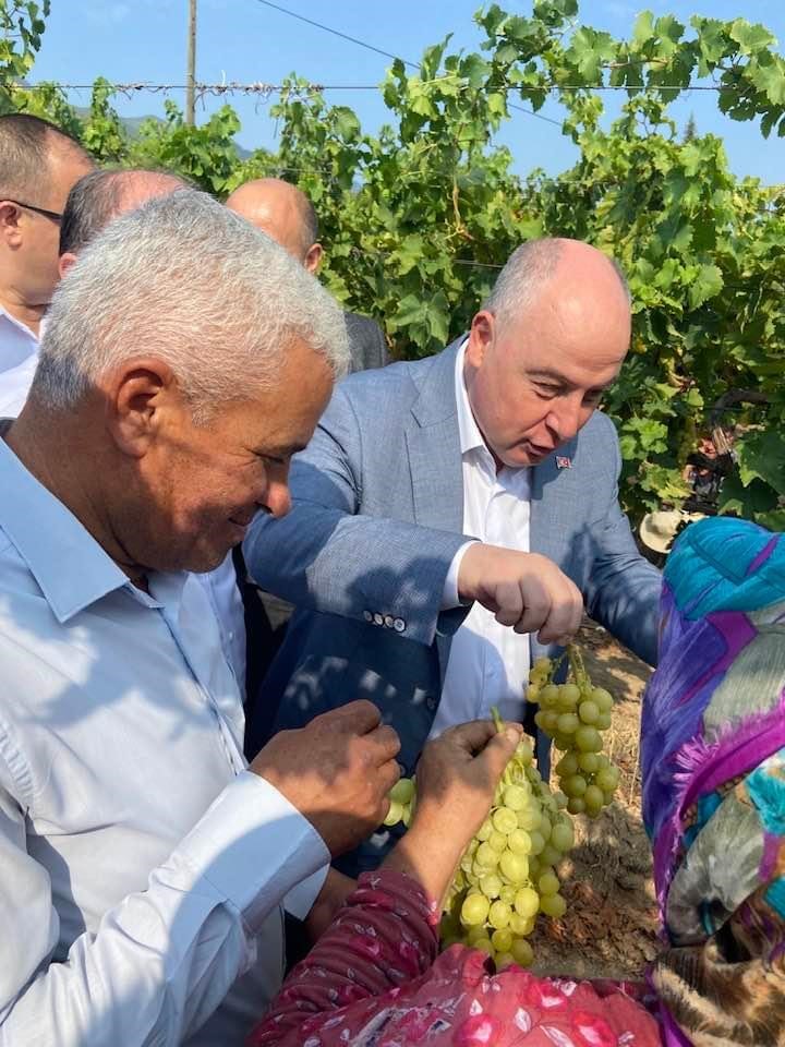 Vali Coşkun bağdan &uuml;z&uuml;m hasadı yaptı
