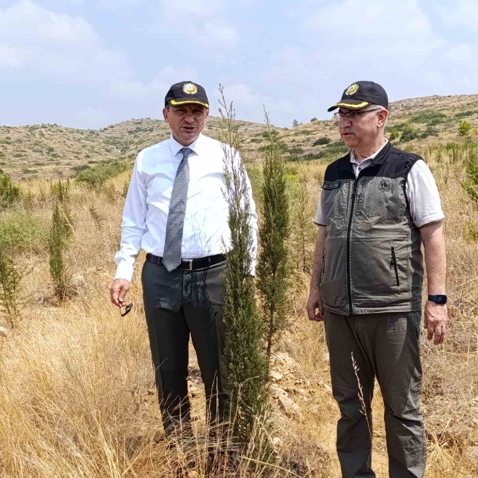Cumhuriyet tarihinin en b&uuml;y&uuml;k yangınının yaşandığı b&ouml;lgede yeşile d&ouml;n&uuml;ş tamamlandı
