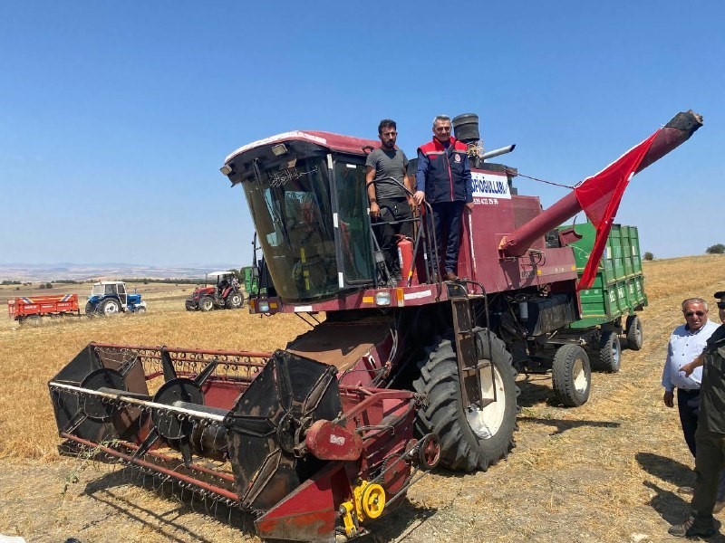 Yozgat’ta yeşil mercimek ekim alanı yüzde 30 artarak 224 bin dekara yükseldi
