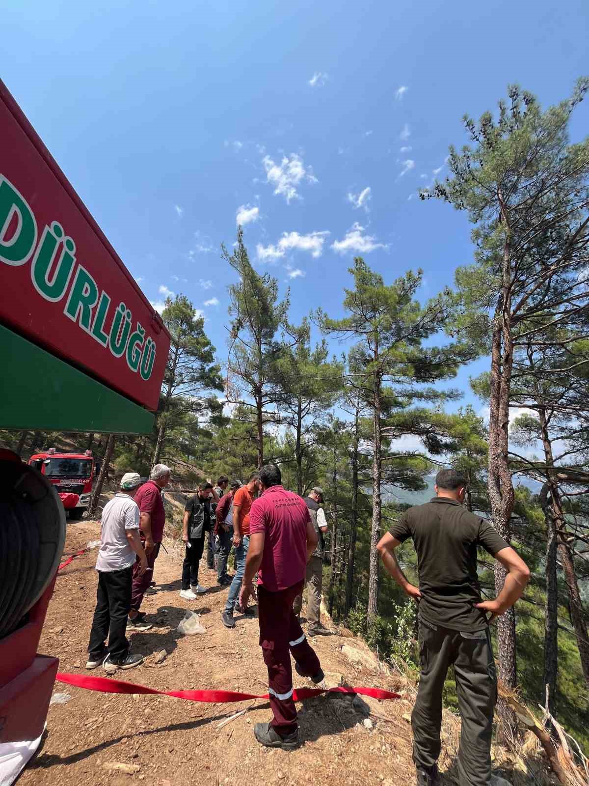 Adana&rsquo;da orman yangını
