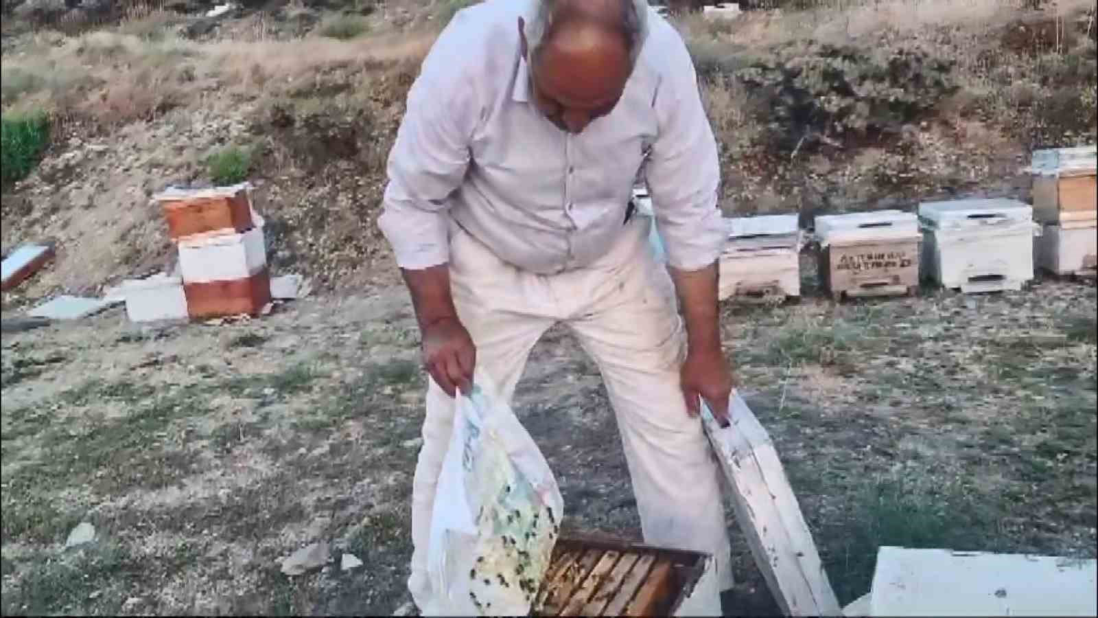 Sincik’te bal hasadı başladı