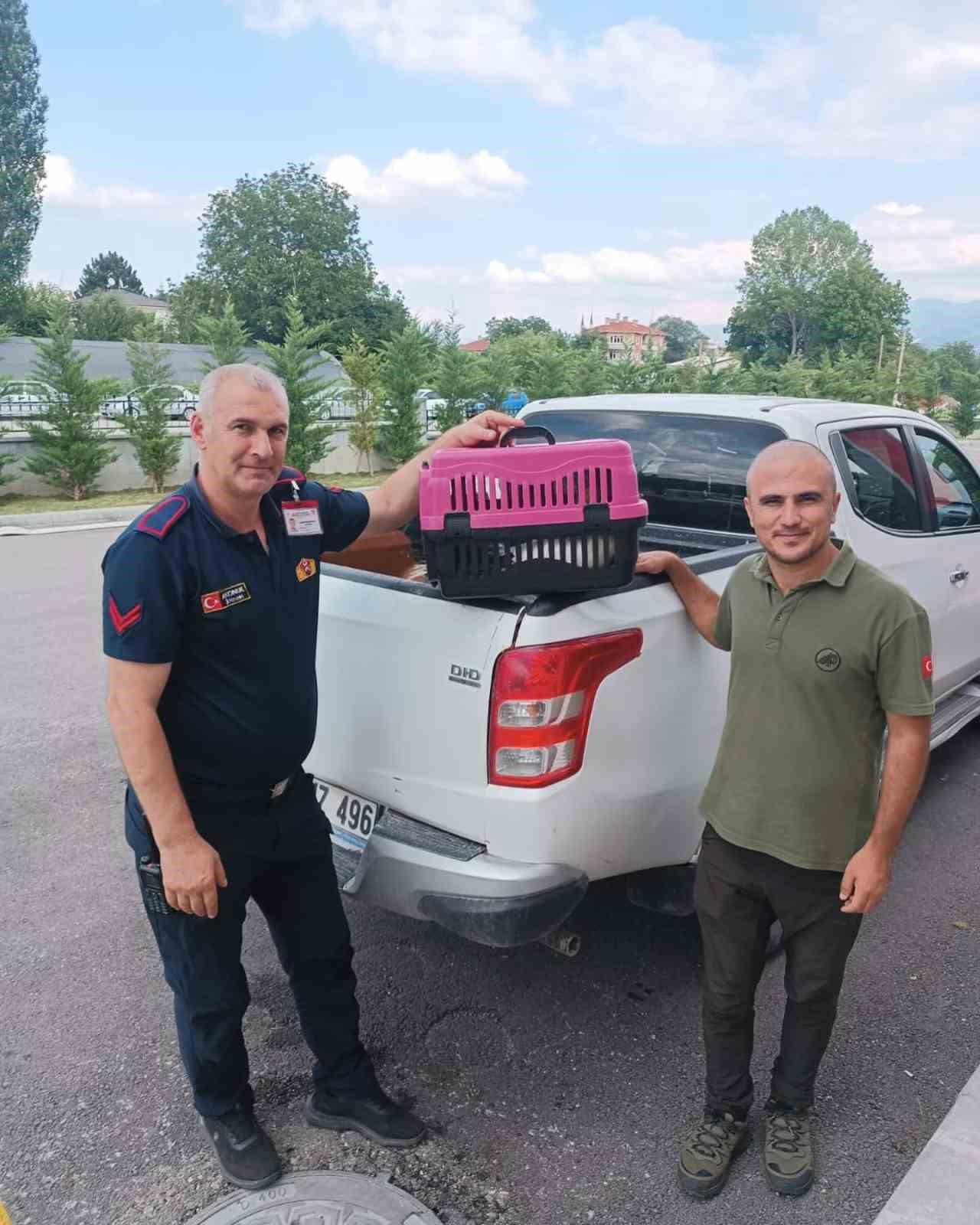 Binanın havalandırma boşluğuna düşen leylek yaralandı
